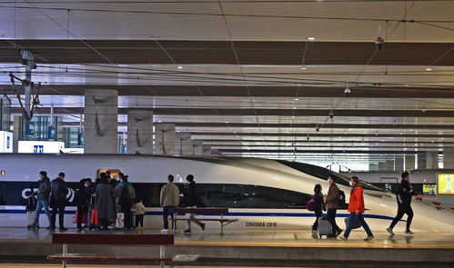 鄭州鐵路逐步恢復列車開行，明起恢復高鐵8趟