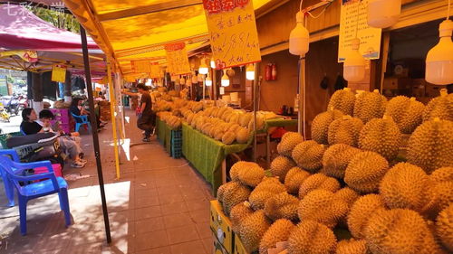 中老鐵路 客貨運雙雙突破5000萬，合作共贏之路改變我們的生活與貨機車配件行業(yè)