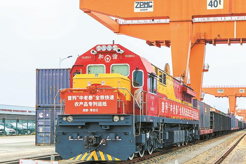 首列中老泰全鐵快速農(nóng)產(chǎn)品專列抵蓉，國際物流新動(dòng)脈全面打通